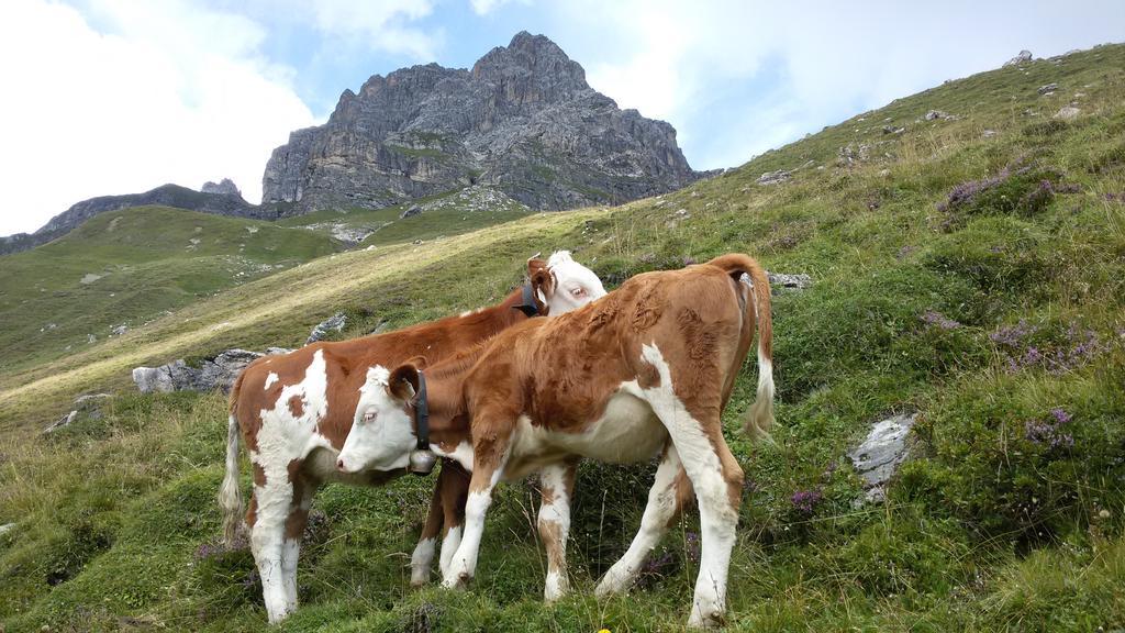 Haus Traudl Apartment Mayrhofen Luaran gambar